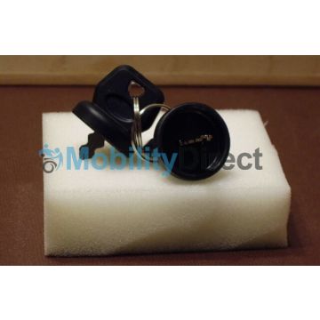Golden Buzzaround GB107/117/147/118/148/119/149 Replacement Key (Pair)