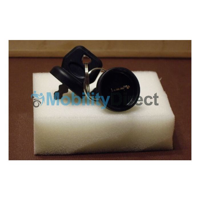 Golden Buzzaround GB107/117/147/118/148/119/149 Replacement Key